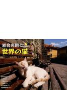カレンダー '17 岩合光昭 世界の猫