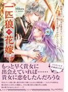NiμNOVELS