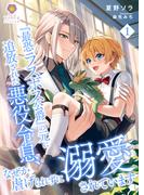 ヴィオラの作品を大放出！ビッグサマーキャンペーン！