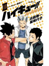 ハイキュー ショーセツバン V 俺たちの代表決定戦前の電子書籍 Honto電子書籍ストア