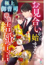 お見合いから始まる極上御曹司の華麗なる結婚宣言 Honto電子書籍ストア