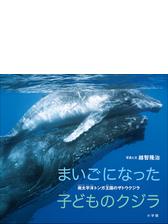 まいごになった子どものクジラ 南太平洋トンガ王国のザトウクジラ 小学館の図鑑neoの科学絵本 の電子書籍 Honto電子書籍ストア