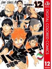 ハイキュー カラー版 12 漫画 の電子書籍 無料 試し読みも Honto電子書籍ストア