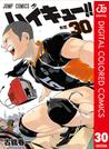 ハイキュー!! カラー版 30
