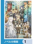 未実装のラスボス達が仲間になりました。【ノベル分冊版】　1