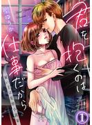 【期間限定　無料お試し版　閲覧期限2023年12月21日】君を抱くのは仕事だから～雇い主は変態小説家～1(黒ひめコミック)