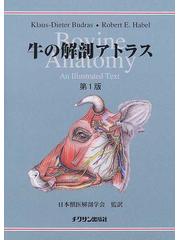 獣医解剖カラーアトラス 牛の解剖 西村書店