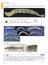 海のミクロ生物図鑑 チリメンモンスターの中に広がる世界 魚類・貝・タコ・イカ・エビ・カニ・その他の甲殻類