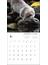 2021年 大判カレンダー FACE ～動物園で生きる～ 2021 Calendar