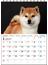 2021　柴犬カレンダー　卓上書き込み式　B6タテ【S3】