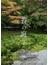 美しい苔の庭 京都の庭園デザイナーがめぐる