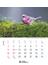 バーズ・イン・シーズンズ2022卓上カレンダー