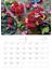 Yoko Takeuchi Flower Calendar 2023　【S14】