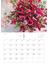【S8】　Atsushi Taniguchi Flower Calendar 2024