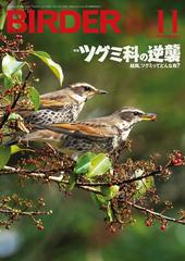 BIRDER - honto電子書籍ストア