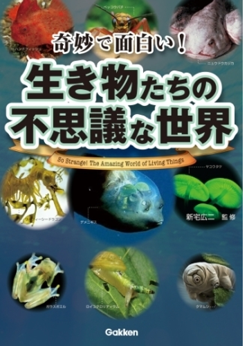 奇妙で面白い 生き物たちの不思議な世界 Honto電子書籍ストア 奇妙で面白い 生き物たちの不思議な世界 Honto電子書籍ストア