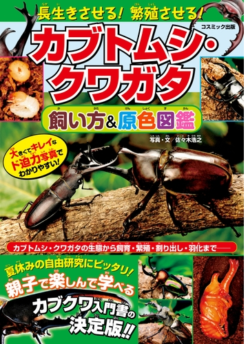 長生きさせる 繁殖させる カブトムシ クワガタ飼い方 原色図鑑 Honto電子書籍ストア