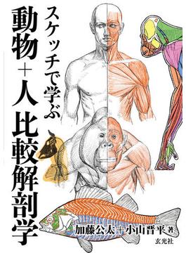 スケッチで学ぶ 動物+人比較解剖学