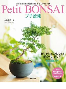 プチ盆栽 おしゃれでかわいい緑のインテリア