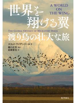 世界を翔ける翼：渡り鳥の壮大な旅