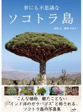 世にも不思議なソコトラ島