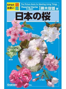 日本の桜(生きもの出会い図鑑)
