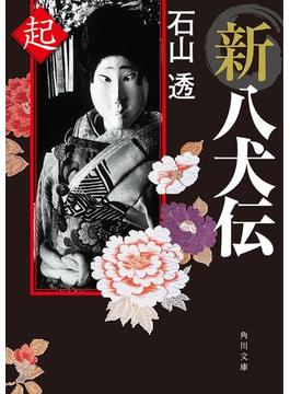 新八犬伝(角川文庫)