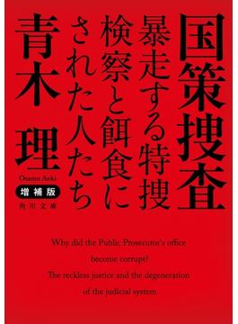 増補版　国策捜査　暴走する特捜検察と餌食にされた人たち(角川文庫)