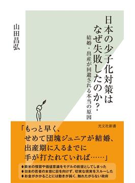 日本の少子化対策はなぜ失敗したのか？～結婚・出産が回避される本当の原因～(光文社新書)