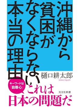 沖縄から貧困がなくならない本当の理由(光文社新書)