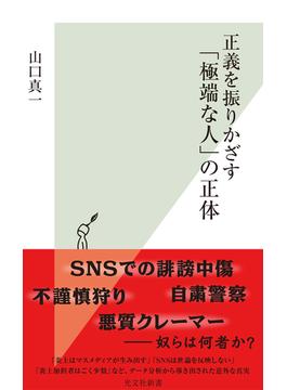 正義を振りかざす「極端な人」の正体(光文社新書)