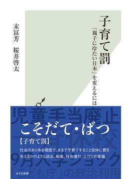 子育て罰～「親子に冷たい日本」を変えるには～(光文社新書)