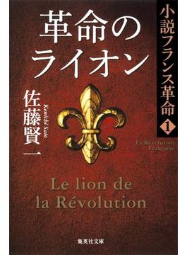 小説フランス革命(集英社文庫)