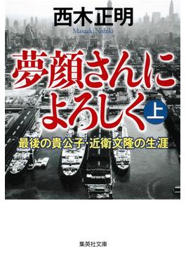 夢顔さんによろしく(集英社文庫)
