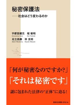 秘密保護法――社会はどう変わるのか(集英社新書)