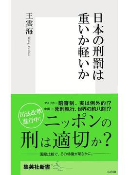 日本の刑罰は重いか軽いか(集英社新書)