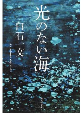 光のない海(集英社文庫)