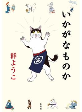 いかがなものか(集英社ノンフィクション)