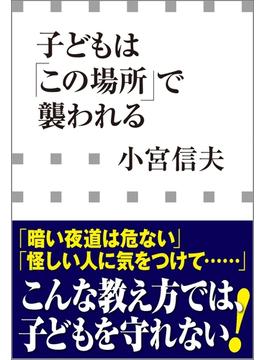 子どもは「この場所」で襲われる（小学館新書）(小学館新書)
