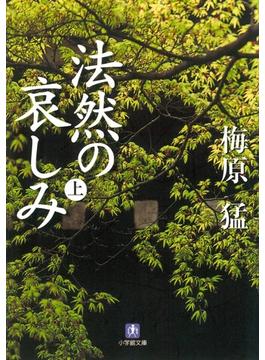 法然の哀しみ（小学館文庫）(小学館文庫)