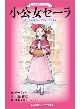 世界名作シリーズ(小学館ジュニア文庫)