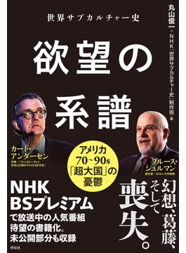 世界サブカルチャー史　欲望の系譜　アメリカ７０～９０ｓ　「超大国」の憂鬱