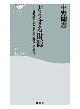 どうする財源　貨幣論で読み解く税と財政の仕組み(祥伝社新書)