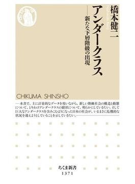 アンダークラス　──新たな下層階級の出現(ちくま新書)