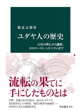 ユダヤ人の歴史　古代の興亡から離散、ホロコースト、シオニズムまで(中公新書)