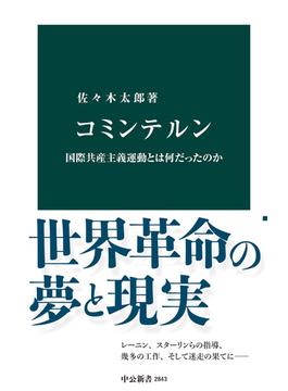 コミンテルン　国際共産主義運動とは何だったのか(中公新書)