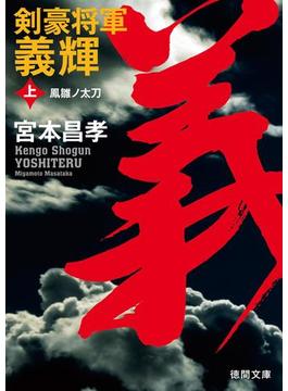 剣豪将軍義輝(徳間文庫)