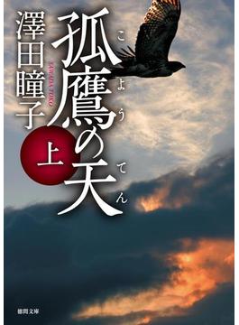 孤鷹の天(徳間文庫)