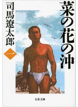 菜の花の沖(文春文庫)