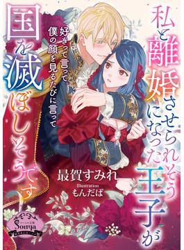私と離婚させられそうになった王子が国を滅ぼしそうです(ソーニャ文庫)